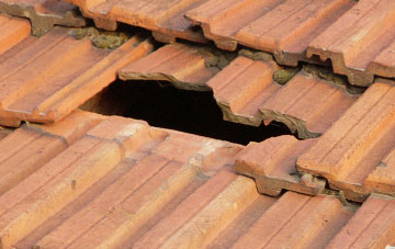 roof repair Hortonwood, Shropshire